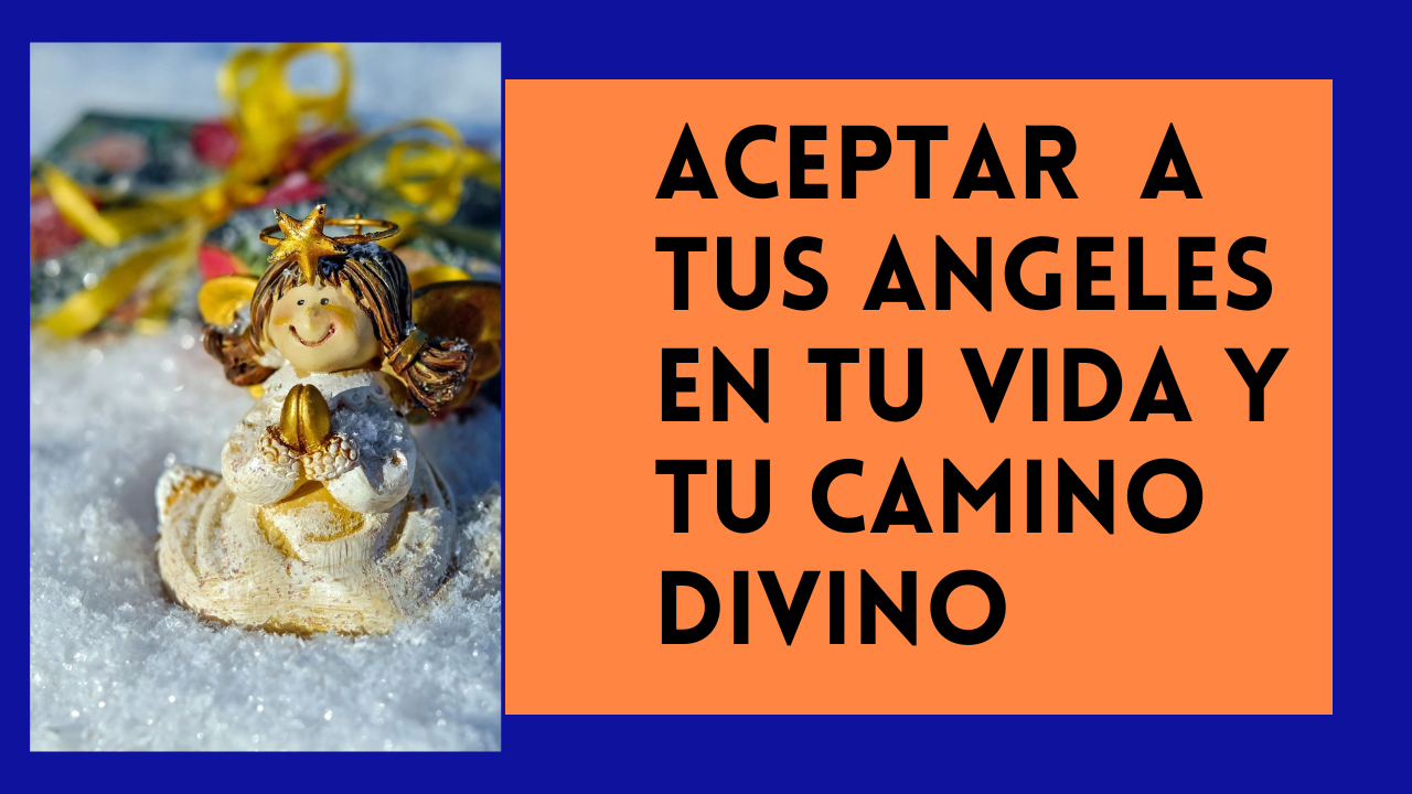 ACEPTAR TUS ANGELES E TU VIDA Y TU CAMINO DIVINO