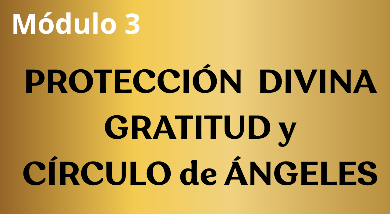 Módulo 3